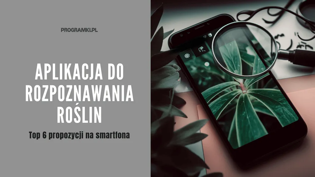 Aplikacje do rozpoznawania roślin ze zdjęcia: 8 opcji, darmowe i płatne